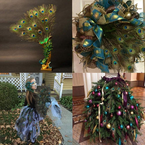 12 PCS Real Natural Peacock Eye Feathers 10-12 inch for DIY Craft, Wedding and Holiday Decorations...