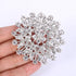 EVER FAITH Women's Austrian Crystal Elegant Flower Leaf Bridal Corsage Brooch Pin...