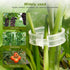 Secured Plastic Plant Clip, 2024 Upgrade 50 PCS Plant Support Clips, Garden Clips for Climbing Plants, Plastic Trellis Plant Clips, Tomato Grape V...
