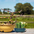 Chinese Bonsai Pot Oval Glazed Flower Pot Planter Home Garden Decor...