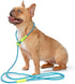 DaFuEn 6 FT Dog Slip Lead Dog Leash Dog Classic Training Leash Lightweight Durable Slip Leads for Dogs No-Pull Slip Leash and Collar Dog Leash for...