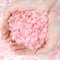 DUQGUHO Rose Quartz Crystals Chip Bulk Natural Healing Crystal Crushed Stones for Succulent Plant Flowerpot Rocks Vase Filler Terrarium Supplies P...