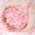 DUQGUHO Rose Quartz Crystals Chip Bulk Natural Healing Crystal Crushed Stones for Succulent Plant Flowerpot Rocks Vase Filler Terrarium Supplies P...