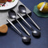 Berglander Black Dinner Spoon Set of 4, Stainless Steel with Titanium Plating...