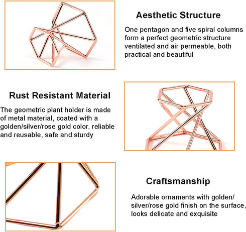 6 PCS Geometric Air Plant Holder Airplants Rack Metal Plants Stand, Airplant Stand Container Tillandsia Stainless Steel Display Racks, Wire Metal ...