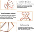 6 PCS Geometric Air Plant Holder Airplants Rack Metal Plants Stand, Airplant Stand Container Tillandsia Stainless Steel Display Racks, Wire Metal ...