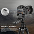 NEEWER 2PCS 200PL Quick Release Plate Aluminum, Compatible with Manfrotto BHQ2 XPRO-3W 8043W 496 804RC2 Q2 Tripod Ball Head Fluid Head, Camera Mou...