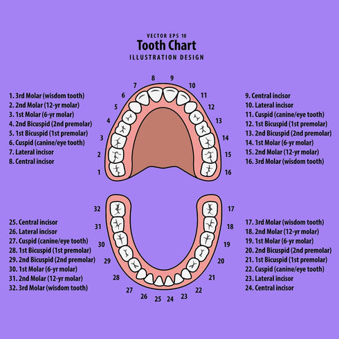 Baby Tooth Box Keepsake Box for Kids Teeth Storage Holder Baby Teeth Organizer Tooth Fairy Box with Baby Fetal Hair Container and Tweezer for Keep...