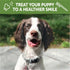 Whimzees by Wellness Dental Treats for Puppies, Natural, Grain Free, Helps to Clean Teeth, Freshen Breath, Reduce Tartar & Plaque, Longer Lasting ...