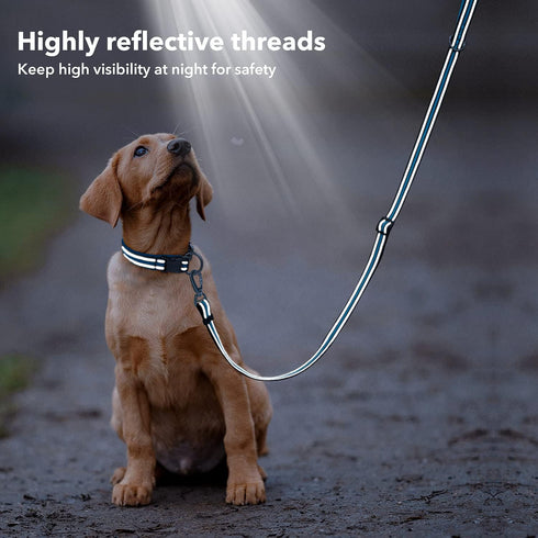 BSEEN Reflective Dog Collar and Leash Set - Adjustable Nylon Dog Collar& Leash with Neoprene Padded, Heavy Duty Dog Collar with 5 Feet Dog Lead fo...