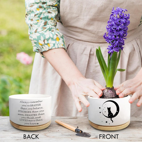 Cute Cat Succulent Plant Pot with Inspirational Quote, Funny Small Cactus Flower Planter Pots for Indoor Plants, Windowsill Desk Decor Planter Gif...