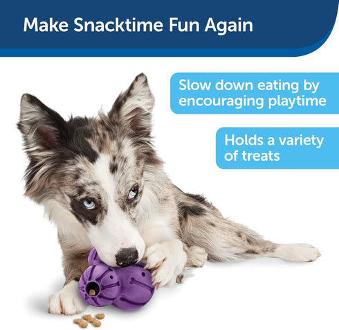 PetSafe Busy Buddy Barnacle - Dog Chew Toy - Treat Dispensing Dog Toys...