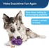 PetSafe Busy Buddy Barnacle - Dog Chew Toy - Treat Dispensing Dog Toys...