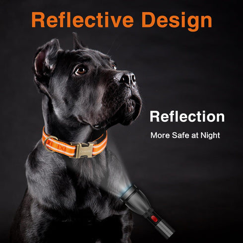 Reflective Dog Collar,Metal Buckle Soft Neoprene Padded Breathable Nylon Pet Collar Adjustable for Small Medium Large Boys Girls Dogs (Orange, Lar...
