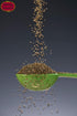 Whole Celery Seeds 7oz Resealable Bag | by Spicy World (7 Ounce)...
