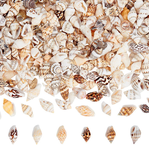 PH PandaHall 1400-1500pcs Tiny Sea Shells 7-12mm Tiny Crushed Shells Miniature Shell NO Hole Seashells Ocean Spiral Seashells for Resin Crafting C...