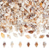 PH PandaHall 1400-1500pcs Tiny Sea Shells 7-12mm Tiny Crushed Shells Miniature Shell NO Hole Seashells Ocean Spiral Seashells for Resin Crafting C...