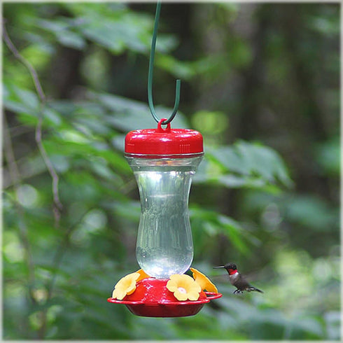 Perky-Pet 131TF 16-Ounce Glass Top Fill Hummingbird Feeder, Red...