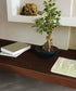 d-c-fix Peel and Stick Contact Paper Apple Birch Wood Grain Self-Adhesive Film Waterproof & Removable Wallpaper Decorative Vinyl for Kitchen, Coun...