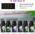 Flower Essential Oils Set, 6x10ml Aromatherapy Oil Gift Kit for Diffuser, Fragrance, Humidifier, Air Purifier- Gardenia, Magnolia, Shangri-La, Jas...