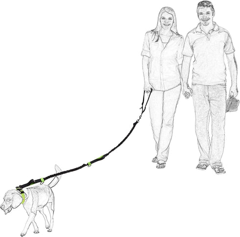 Mile High Life | Retractable Hands Free Dog 7FT Leash | Waist Running Adjustable | Reflective Dual Black Bungees | Dual Handles | Small Medium Lar...