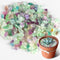 Sukh Fluorite Tumbled Crystal Chips - 0.9lb Fluorite Crushed Stone Fish Tank Rocks Gravel for Vase Fillers Decorative Fish Tank Fillers Succulent ...