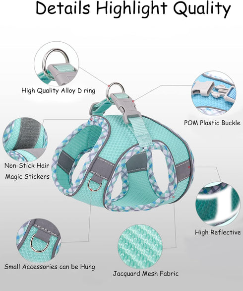 Petank Dog Harness for Small Medium Dogs No Pull, Puppy Harness and Leash Set, Easy Walk Dog Harness for Walking, Running, Training, Small Dog Har...
