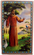 St. Francis of Asssisi Pewter Medal Pendant with Prayer Card 3/4"...