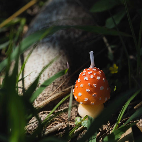Birthday Candles Mushroom Candles for Party Supplies and Wedding Favor...
