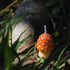Birthday Candles Mushroom Candles for Party Supplies and Wedding Favor...