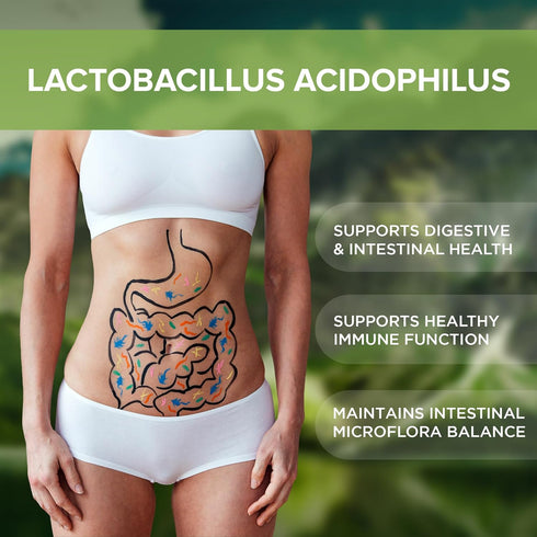 Lactobacillus Acidophilus Probiotic Supplement 240 Tablets 3 Billion CFU Probiotics for Men & Women Supports Intestinal Digestive & Gut Health Mad...