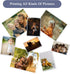 ZBEIVAN Photo Paper 4x6, 5x7, 8x10 inch High Glossy Paper 150 Sheets, 200 GSM Paper for Printer (4x6 50 Sheets, 5x7 50 Sheets, 8x10 50 Sheets)...