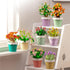 Mini Flower Succulent Bonsai Building Block Set,Simulation Pot Plant Artificial Particle Flower Botanical Collection Construction Building Bricks ...