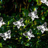 Solar String Lights, Waterproof 16ft 20LED Butterfly Christmas Fairy Lights Decorative Lighting for Home Party Wedding Patio Garden Porch Balcony ...