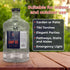 1 Gallon Odorless & Smokeless Lamp Oil for Indoor Use | Highly Refined, Pure & Clear Liquid Paraffin Oil Lamp Fuel for Lamps – Clean Burning, Vers...
