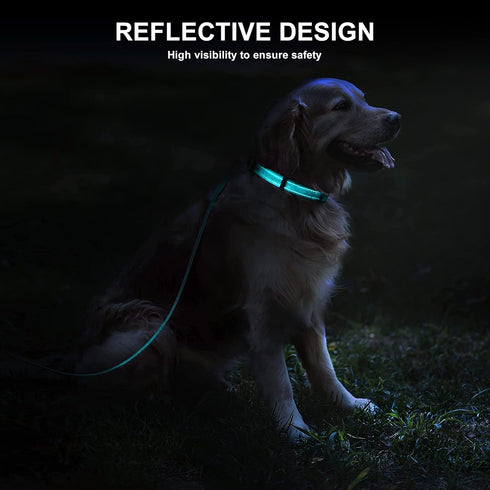 Durable Reflective Dog Collar and Leash set with Double Layer Nylon, Soft Neoprene Padded Dog Collar with 5ft Strong Pet Leash Easy for Medium Lar...