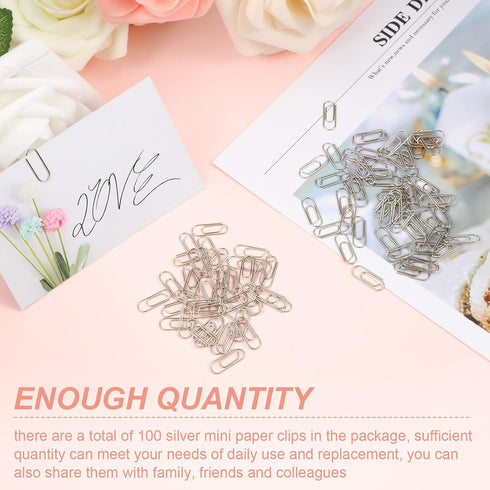 100 Pieces Metal Mini Paper Clips 3/5 Inch Finish Steel Paper Clip Metal Journaling Paper Clamps Office Paperclip for Paper Document Sorting and O...