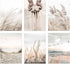Canssape Set of 6 Neutral Beach Wall Art Prints 8x10in Beige Sage Leave Wall Decor Home Decorations for Living Room Aesthetic Landscape Posters Bo...