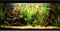 Natural Tropical Biotope Aquarium Background Aquatic Plants Stone Bed Fish Tank Background Undersea Tropical Aquatic Wood Branches Terrarium Backg...