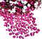 AD Beads 1440 Pieces Mixed Size Glue on Quality Glass Flatback Rhinestones Round Crystal Gems (24 Rose)...