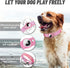 AirTag Dog Collar, Reflective Apple Air Tag Dog Collar, Padded Dog Collars with AirTag Holder Case, Adjustable Air Tag Pet Collar for Small Medium...