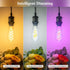 DiCUNO Smart Edison Bulb ST64, Color Changing WiFi Smart Light Bulb, Vinatge ST21 Filament Bulb Work with Alexa & Google, Dimmable with App, 50 Wa...