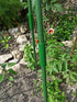 6 PCS 0.43" Garden Plant Stakes Support Connectors Pipe Straight Climbing Rattan Trellis Greenhouse Frame Sturdy Plastic Pillar Suitable Accessori...