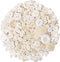 650 Pcs Buttons Round Resin Buttons 2 and 4 Holes Assorted Buttons for Sewing Crafts DIY Projects Button Painting Craft Buttons (White)...