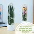 Herb Saver Pod for Refrigerator - 2 Pack Space-Saving Fresh Herb Keeper for Refrigerator - Herb Preserver for Cilantro, Mint & Asparagus - Cilantr...