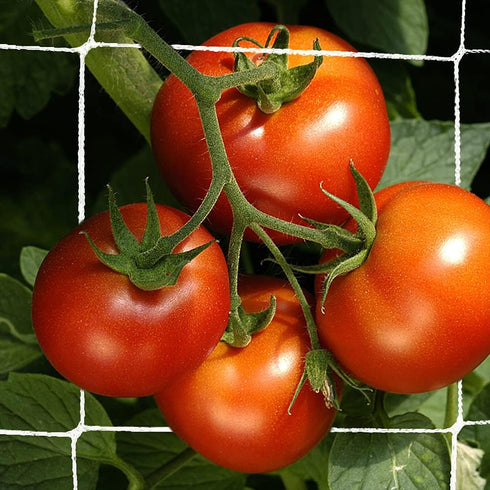 Trellis Netting, CANAGROW Heavy-Duty Garden Plant Trellis Netting for Climbing Plants, Outdoor Indoor Grow Net for Beans Tomatoes Peas Pumpkin Flo...