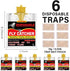 6 Pack Fly Traps Outdoor, Fly Bags Outdoor Disposable, Fly Hunter Ranch Fly Trap, Fly Catcher Outdoor, Fly Traps Outdoor Hanging for Barns, Ranch,...