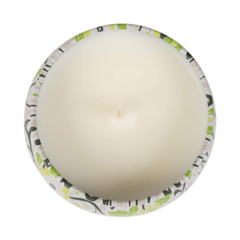 5986 Home Collection Fragrance Candle Roots + Rain...