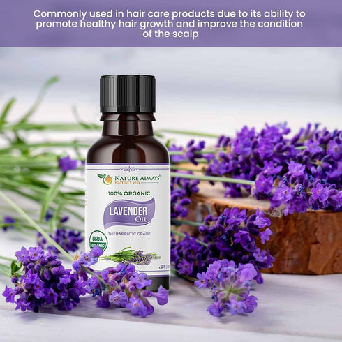 USDA Certified 100% Organic Lavender Essential Oil | Aromatherapy Diffuser, Therapeutic Grade, Non- GMO Verified, Beneficial for Skincare and Hair...