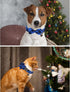 Dog Collar with Bow Tie, Cotton Dog Bowtie Collar for Medium Girl Boy Dog, Holiday Blue Dog Collar with Durable Metal Buckle, Cute Plaid Pet Colla...